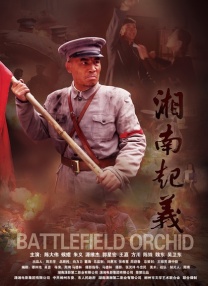 久久精彩